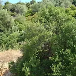 Hotel Angela 3*
